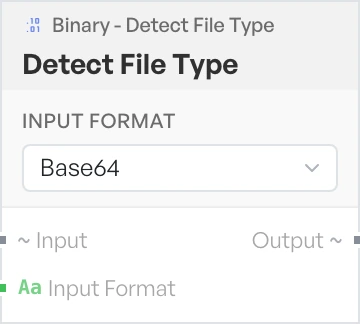 The Detect File Type block on the canvas.