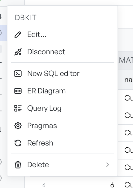 The right-click menu on a connection, listing Edit, Disconnect, New SQL editor, ER Diagram, Query Log, and Pragmas