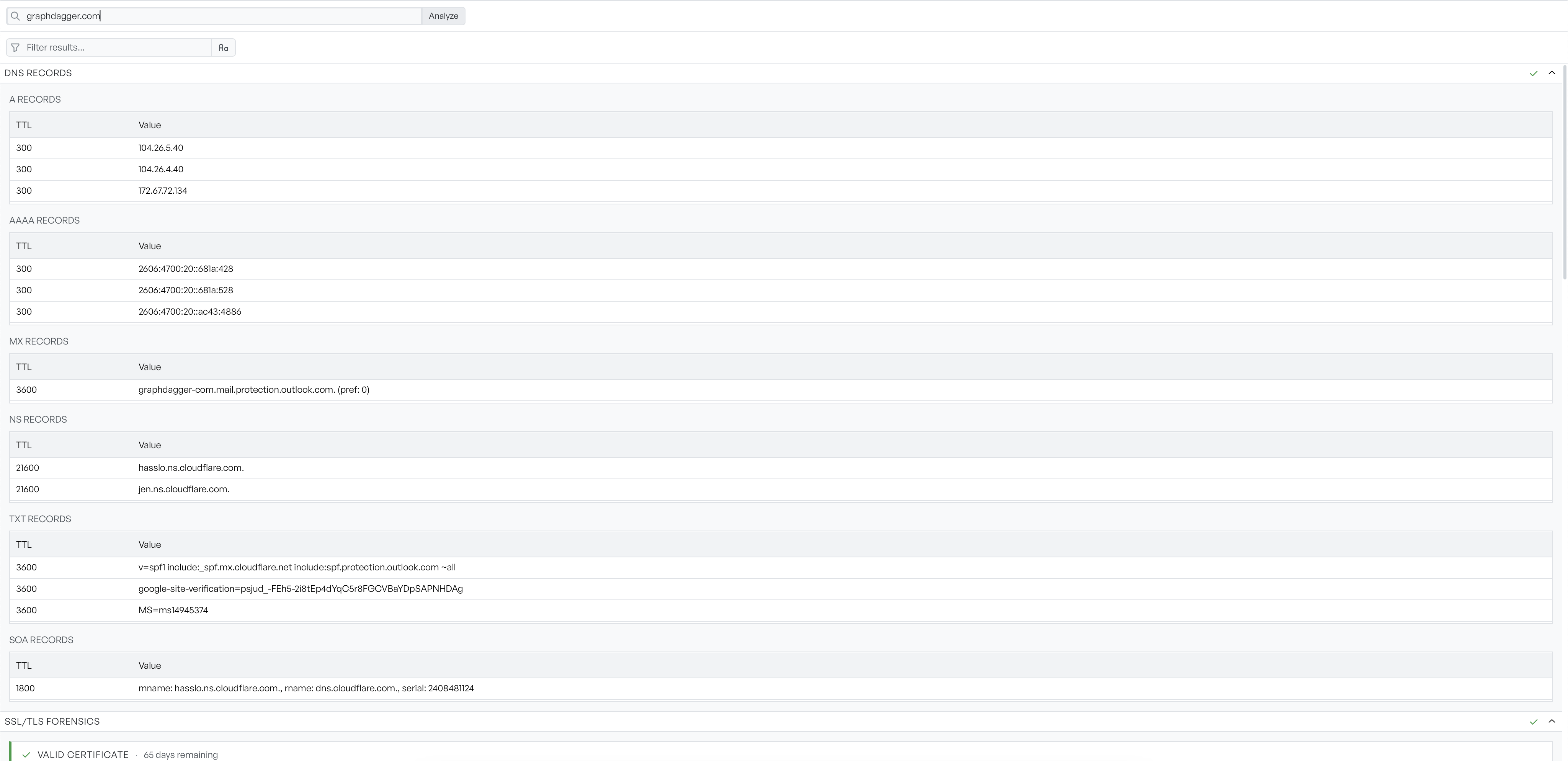 The DNS Records section expanded, showing A, AAAA, MX, NS, TXT and SOA record tables for a domain