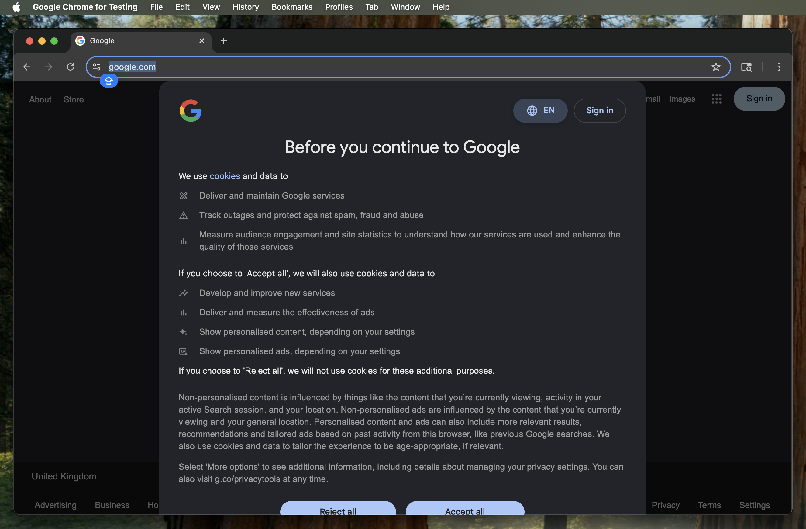 A browser window opened by the recorder, sitting on a web page ready for you to drive it